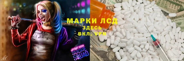 ПСИЛОЦИБИНОВЫЕ ГРИБЫ Елизово