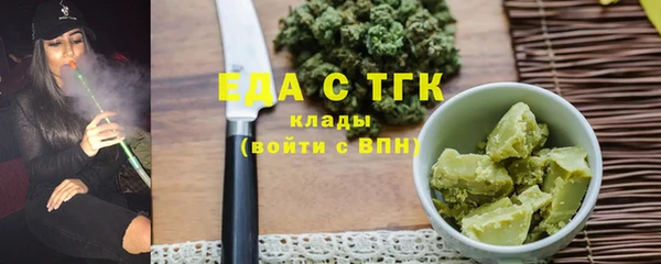 индика Елабуга