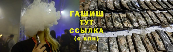 индика Елабуга