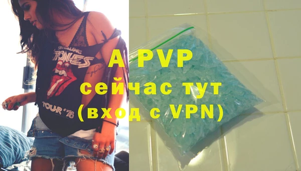 ПСИЛОЦИБИНОВЫЕ ГРИБЫ Елизово