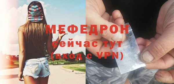 индика Елабуга