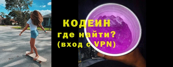 индика Елабуга