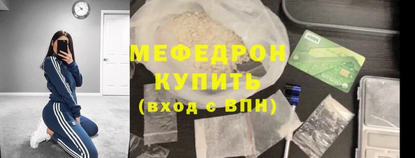 индика Елабуга