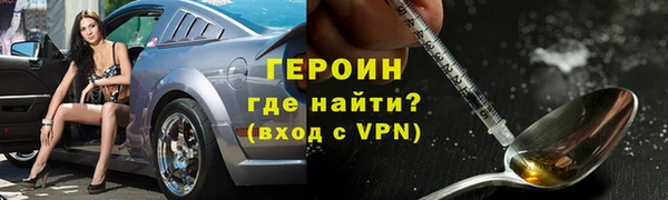 индика Елабуга