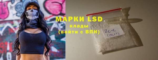 индика Елабуга