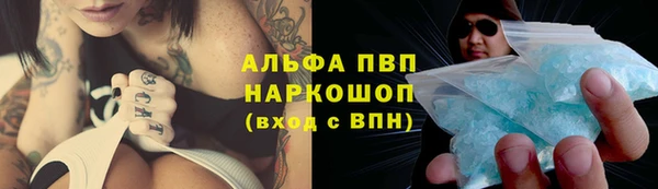индика Елабуга