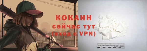 прущий лед Ельня