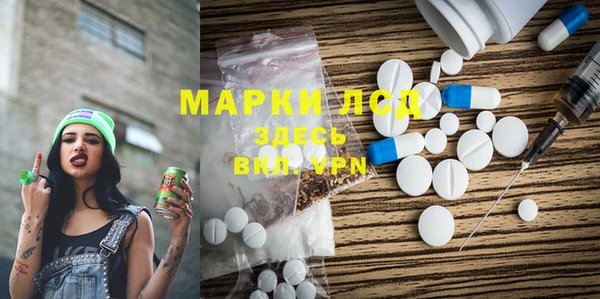 индика Елабуга