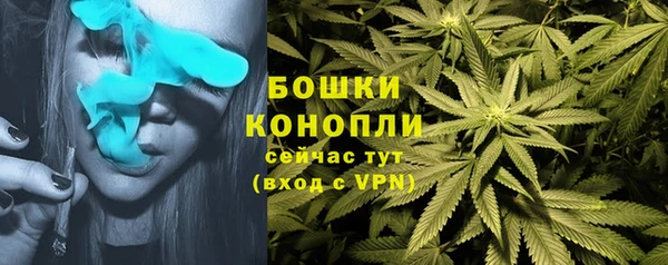 прущий лед Ельня