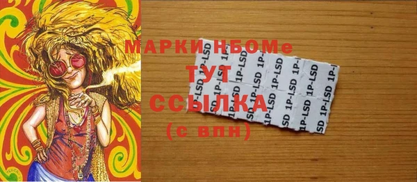 индика Елабуга