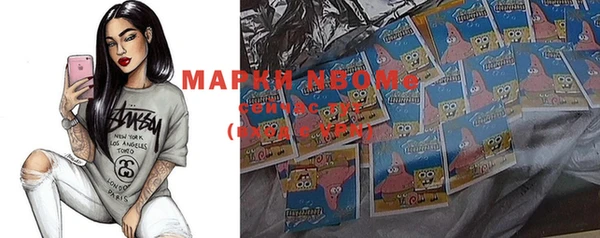 индика Елабуга