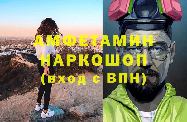 индика Елабуга