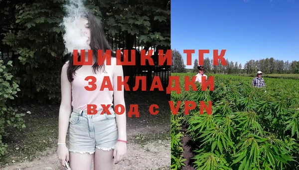 индика Елабуга