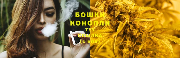 индика Елабуга