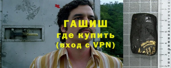 индика Елабуга