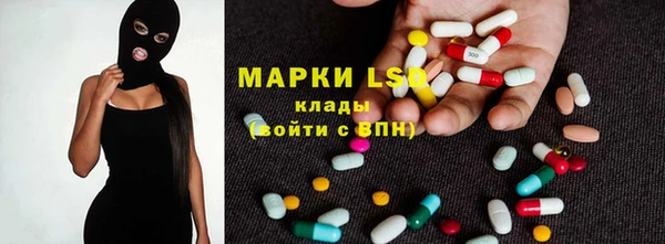 индика Елабуга