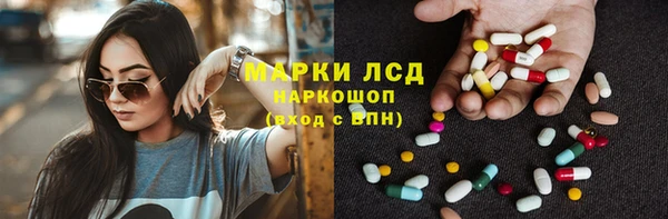 индика Елабуга