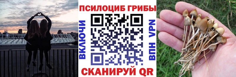 Псилоцибиновые грибы мухоморы Каменка