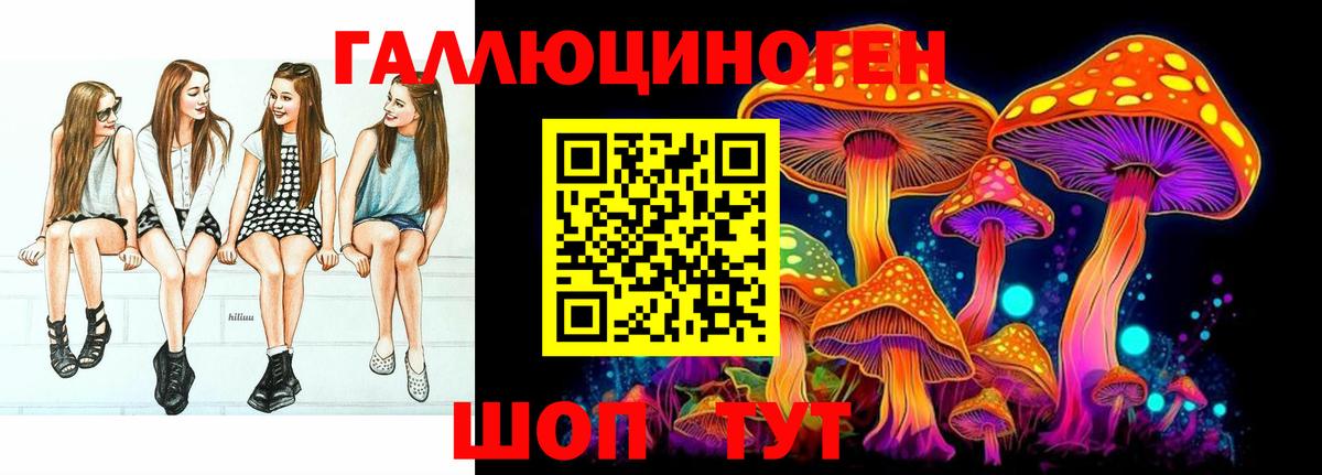 Каменка  Галлюциногенные грибы MAGIC MUSHROOMS  Вход с VPN 